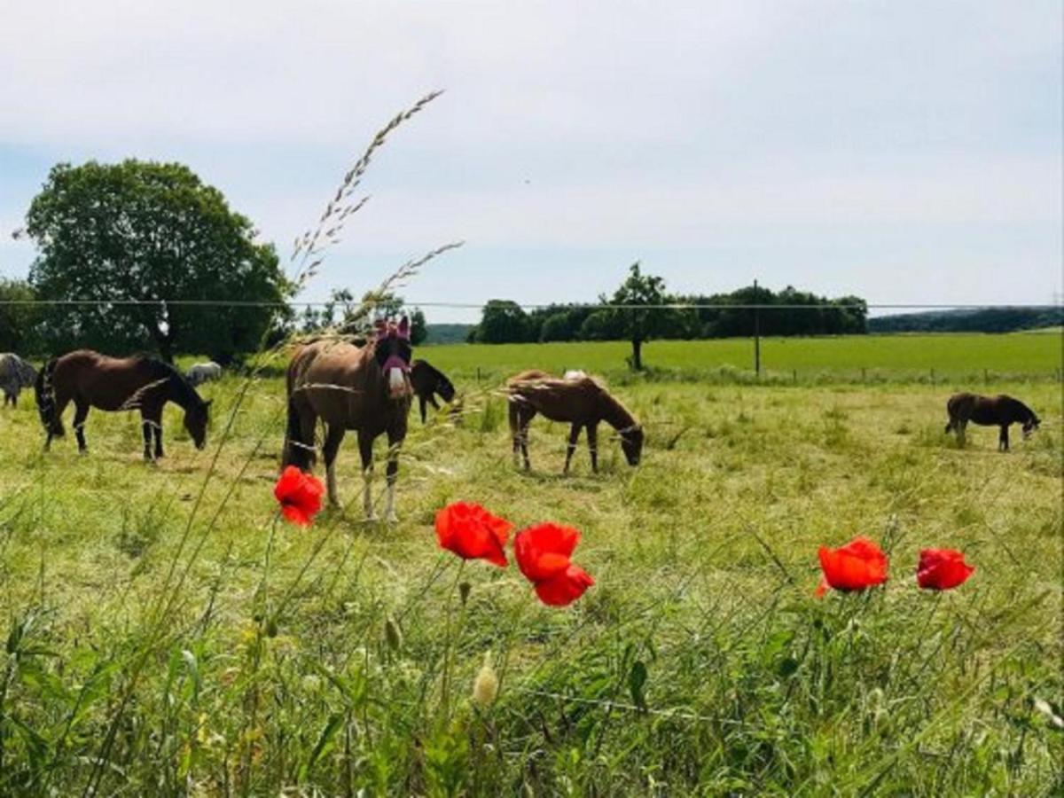 Ferienhof Pfeiffer Buchen  Exterior foto
